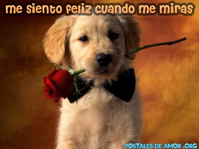 https://www.postalesdeamor.org/