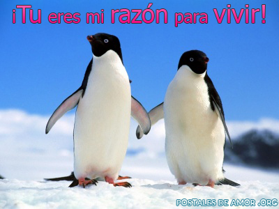 https://www.postalesdeamor.org/