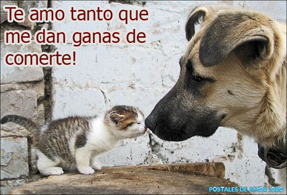 https://www.postalesdeamor.org/