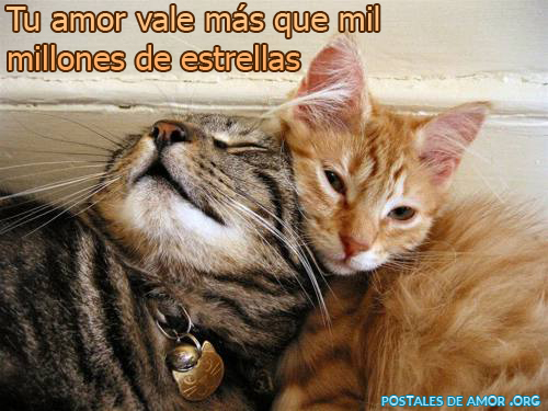 https://www.postalesdeamor.org/