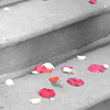 Mi corazón te extraña