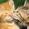 Tus besos son imborrables