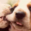 Te quiero comer