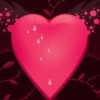 La elección de mi corazón